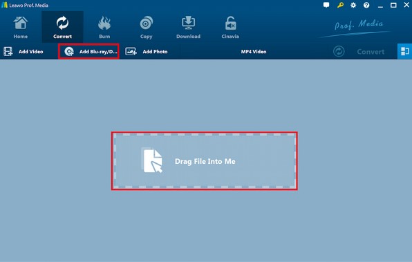 Start the application to load your DVD data
